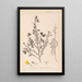 Herbier af den franske flora Pl0171 - Louis Antoine Cusin — indrammet kunstværk på væggen