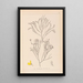 Herbier af den franske flora Pl0173 - Louis Antoine Cusin — indrammet kunstværk på væggen