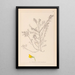 Herbier af den franske flora Pl0214 - Louis Antoine Cusin — indrammet kunstværk på væggen