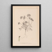 Herbier de la flore française Pl0240 - Louis Antoine Cusin — indrammet kunstværk på væggen