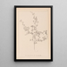 Herbier af den franske flora Pl0250 - Louis Antoine Cusin — indrammet kunstværk på væggen