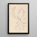 Herbier af den franske flora Pl0415 - Louis Antoine Cusin — indrammet kunstværk på væggen