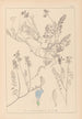 Herbier de la flore française Pl0431 - Louis Antoine Cusin — visning af kunstværket