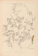 Herbier af den franske flora Pl0455 - Louis Antoine Cusin — visning af kunstværket