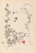 Herbier de la flore française Pl0510 - Louis Antoine Cusin — visning af kunstværket