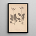 Herbier de la flore française Pl0688 - Louis Antoine Cusin — indrammet kunstværk på væggen