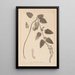 Herbier af den franske flora Pl0880 - Louis Antoine Cusin — indrammet kunstværk på væggen