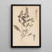 Herbier de la flore française Pl0896 - Louis Antoine Cusin — indrammet kunstværk på væggen