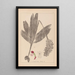 Herbier af den franske flora Pl1032 - Louis Antoine Cusin — indrammet kunstværk på væggen