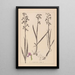 Herbier af den franske flora Pl1034 - Louis Antoine Cusin — indrammet kunstværk på væggen