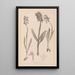 Herbier af den franske flora Pl1037 - Louis Antoine Cusin — indrammet kunstværk på væggen
