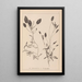 Herbier af den franske flora Pl1074 - Louis Antoine Cusin — indrammet kunstværk på væggen