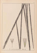 Herbier de la flore française Pl1113 - Louis Antoine Cusin — visning af kunstværket