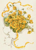 Boutons d'or - Louis Prang — visning af kunstværket