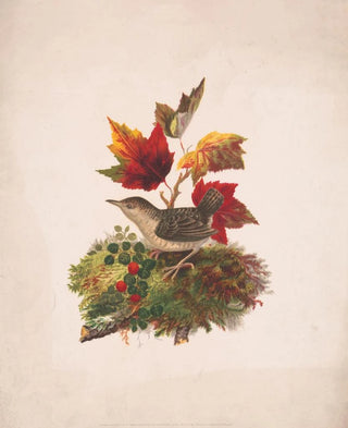 Louis Prang Co - Bird with autumn foliage.webp