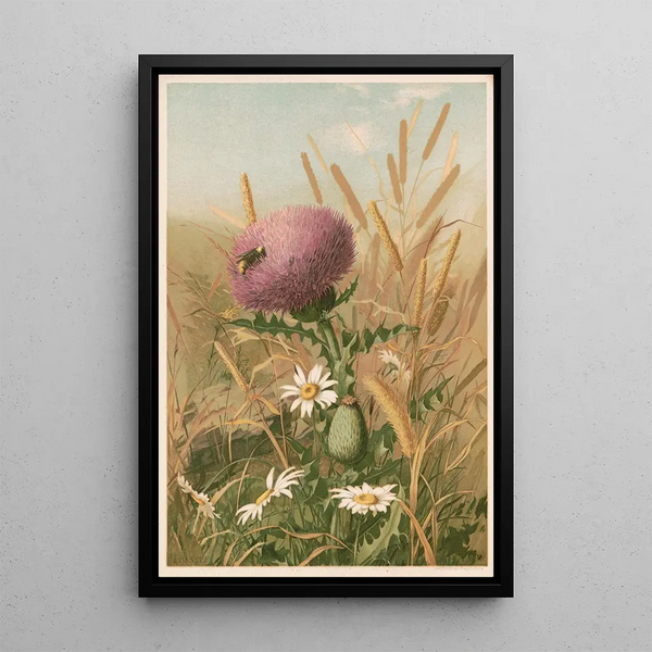 Louis Prang Co - Thistle.webp