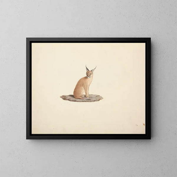 Caracal caracal - Luigi Balugani — indrammet kunstværk på væggen