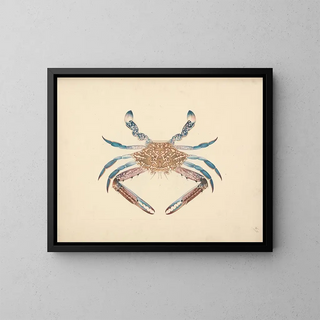 Luigi Balugani - Portunua pelagicus.webp