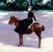 Mademoiselle Meuriot på hendes pony - Jacquesmile Blanche — visning af kunstværket
