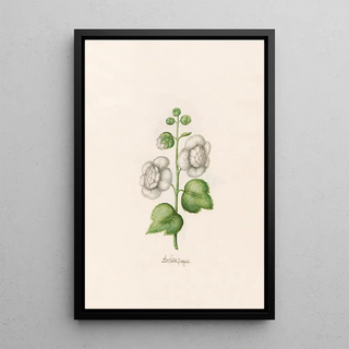 Magdelena Rosina Funck - Geflte Pappel.webp