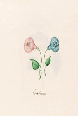 Magdelena Rosina Funck - Herbst klocken.webp