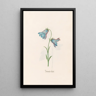 Magdelena Rosina Funck - Indianishe klock.webp