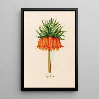 Magdelena Rosina Funck - Kaser Kron.webp