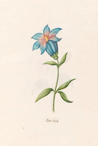 Magdelena Rosina Funck - Span klock.webp