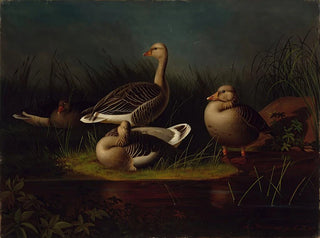 Magnus Von Wright - Greylag Geese Copy After Ferdinand Von Wright.webp