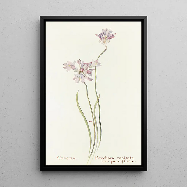 Margaret Armstrong - Covena.webp