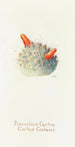 Cactus pude - Margaret Armstrong — visning af kunstværket