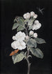 Æbleblomster - Margaretha Barbara Dietzsch — visning af kunstværket