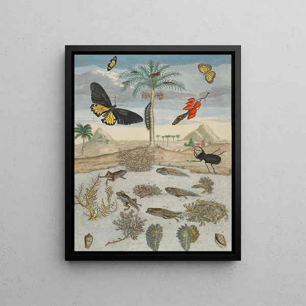 Maria Sibylla Merian - Insects and Fish with Island Background.webp