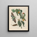 Zursak - Maria Sibylla Merian — indrammet kunstværk på væggen