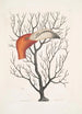 Caput Phoenicopteri Le bec du flamant dans ses dimensions complètes Keratophyton c - Mark Catesby — visning af kunstværket
