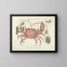 Billeder af fisk, slanger, insekter og andre dyr samt nogle planter - Mark Catesby — indrammet kunstværk på væggen