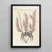 Piscium serpentum insectorum aliorumque nonnullorum animalum nec non plantarum quarundam imagines Pl035 - Mark Catesby — indrammet kunstværk på væggen