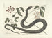 Billeder af fisk, slanger, insekter og andre dyr samt nogle planter Pl048 - Mark Catesby — visning af kunstværket