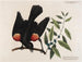Le merle à ailes rouges, le myrte à feuilles larges et la bougie de baies - Mark Catesby — visning af kunstværket