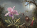 Orchidée Cattleya og tre kolibrier - Martin Johnson Heade — visning af kunstværket