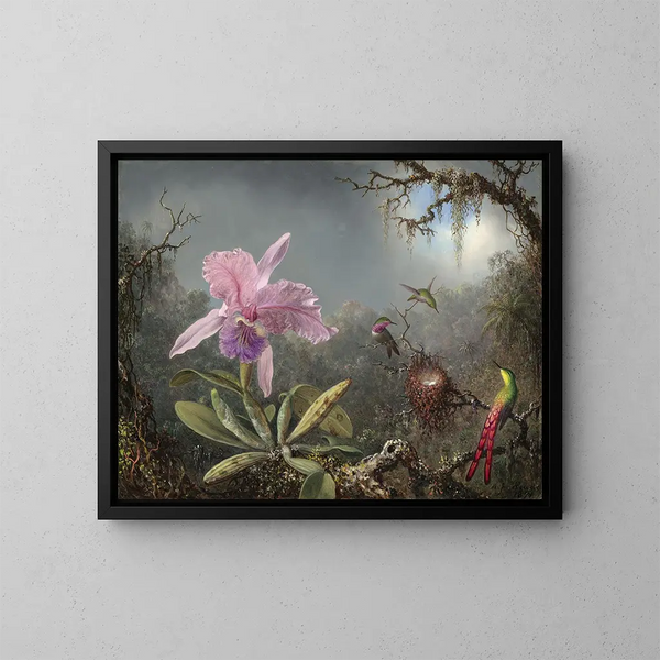 Orchidée Cattleya og tre kolibrier - Martin Johnson Heade — indrammet kunstværk på væggen
