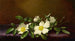Roses Cherokee på violet stof - Martin Johnson Heade — visning af kunstværket