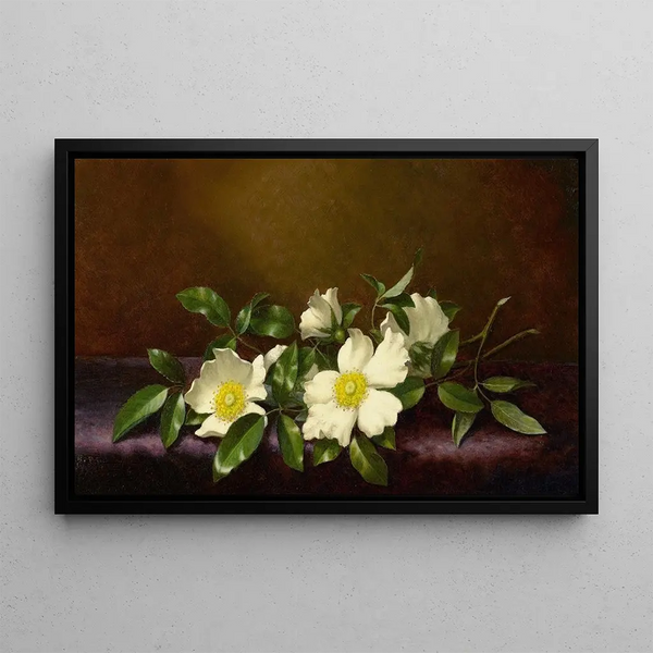 Roses Cherokee på violet stof - Martin Johnson Heade — indrammet kunstværk på væggen