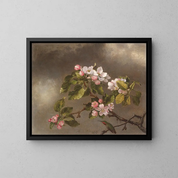 Colibri og æbleblomster - Martin Johnson Heade — indrammet kunstværk på væggen