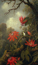 Colibri og passiflora - Martin Johnson Heade — visning af kunstværket