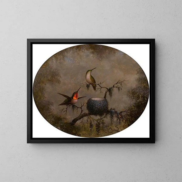 Colibris og deres rede - Martin Johnson Heade — indrammet kunstværk på væggen
