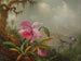 Orchideer og kolibrier - Martin Johnson Heade — visning af kunstværket