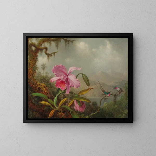 Orchideer og kolibrier - Martin Johnson Heade — indrammet kunstværk på væggen