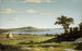 Rivage de Rhode Island - Martin Johnson Heade — visning af kunstværket