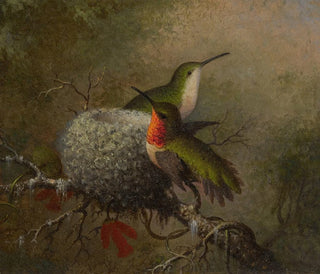 Martin Johnson Heade - Two Ruby Throats By Their Nest.webp